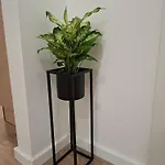 - New Apartman Split