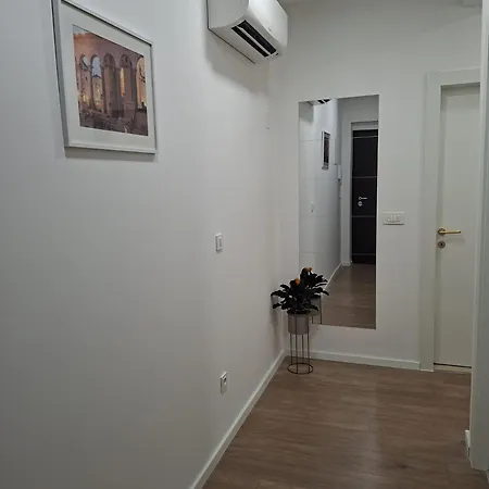 - New * 斯普利特