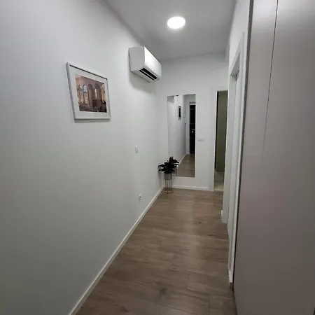 - New