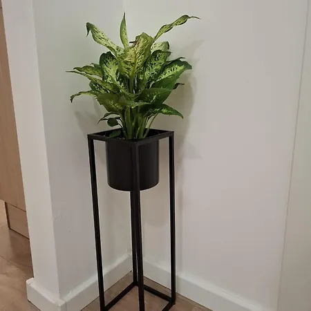 - New Διαμέρισμα Σπλιτ