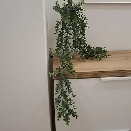 - New سبليت